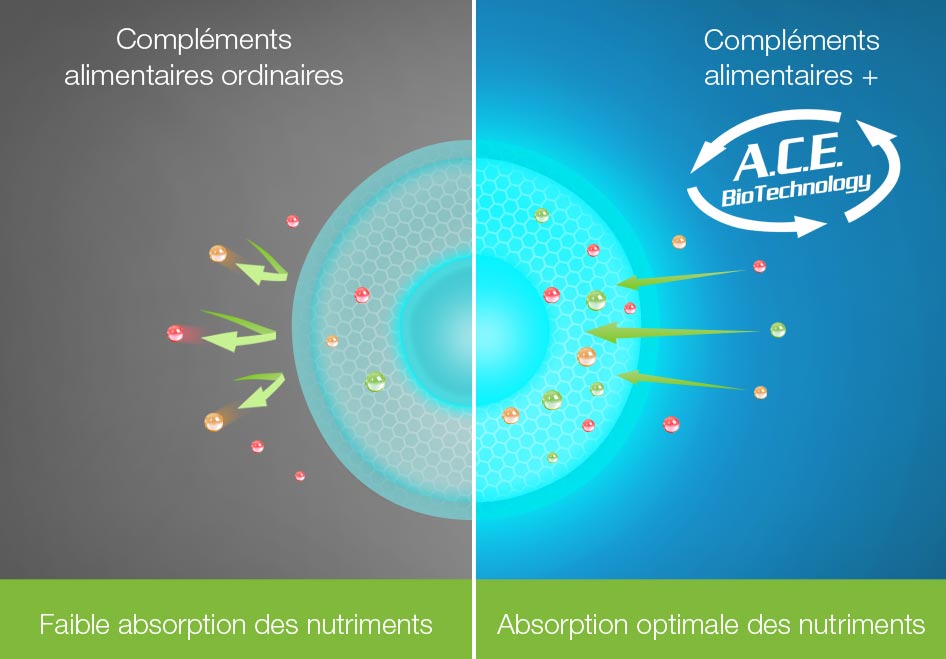 Laboratoires Actinutrition – ACE BioTechnology Laboratoires Actinutrition – ACE BioTechnology