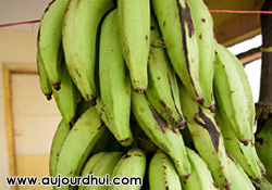 Banane plantain crue