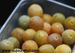 recette mirabelle - calorie mirabelle