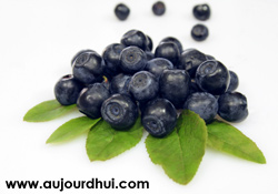 recette myrtilles - calorie myrtilles