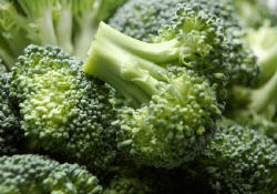 brocolis, végétaux, légumes, cerveau