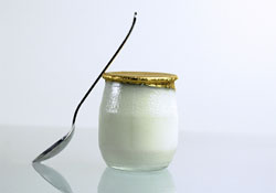 probiotiques
