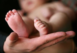 donneur de sperme, loi de bio�thique, don de gam�tes 