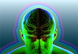 m�moire, amn�sie, cellules souches