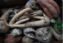 l�gumes, berlin, soupes, bio, durable