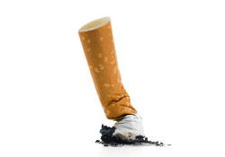 cigarette, paquets neutres, tabac