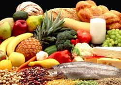 paysans.fr, bio, produits, courses, qualit�, prix