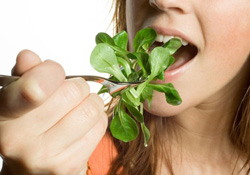 vitamine B9, folique, pois, levure de bi�re