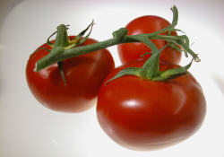 tomate, gènes, goût, OGM
