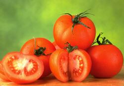 tomate, bio