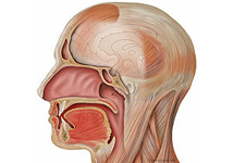 Merycisme