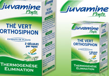 Thé Vert Orthosiphon - Juvamine Phyto