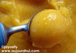 Sorbet mangue