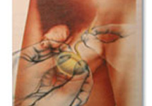 ANDROLOGIE