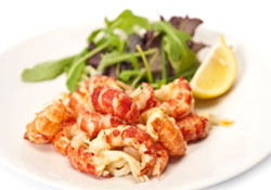Langoustines sur lit de salade