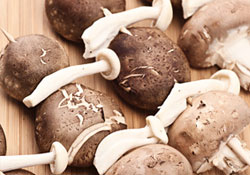 Brochettes de champignons épicés 