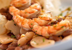 Fricassée de gambas aux fèves