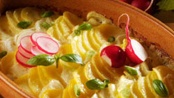 Gratin de pommes de terre, courge et céleri-rave