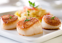 Noix de saint-jacques poêlées aux légumes, coquillettes et lait de coco