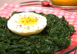 Oeufs à la florentine