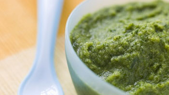 Purée de haricots verts