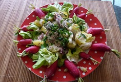 Salade aux gésiers